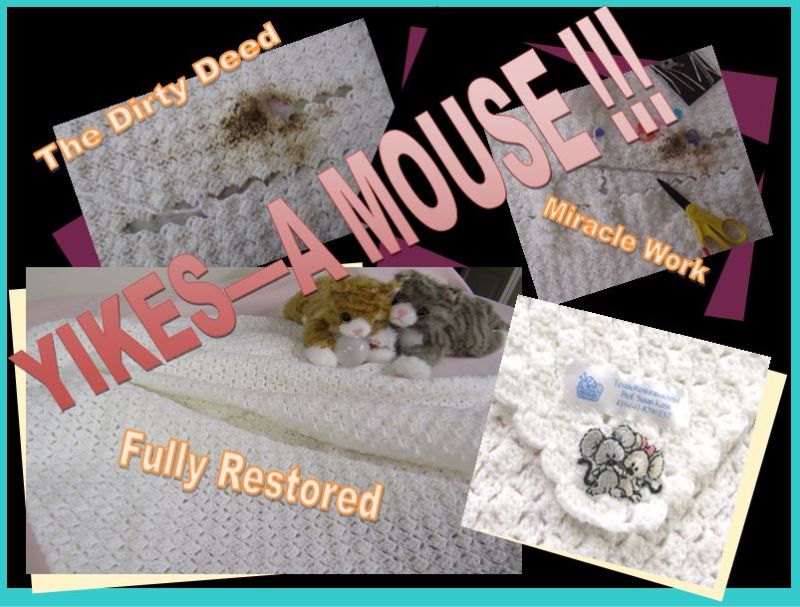 Blanket Restoration